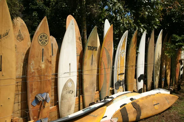 Maui Hawaii Usa Febbraio 2010 Surf Board Paddle Board Fence — Foto Stock