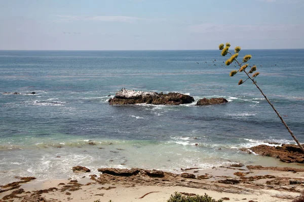 バードロック カリフォルニア州ラグーナビーチ ラグーナビーチ カリフォルニア州ラグーナビーチの海岸岩に波が衝突するバードロック — ストック写真