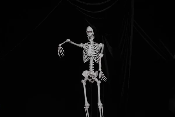 人間のスケルトンが黒い ハロウィンパーティーでフォトブースでポーズするように人間の骨格が微笑む — ストック写真