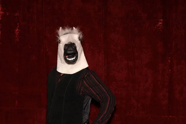 Man Wearing Rubber Horse Head Mask Poses While Has His — Stock Photo, Image