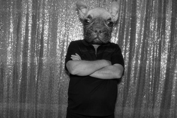 Homme Porte Masque Pour Chien Pose Pour Que Ses Photos — Photo