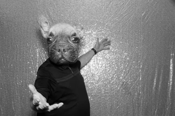 A man wears a Dog Mask and poses for his pictures to be taken while in a Photo Booth at a Wedding or Party.