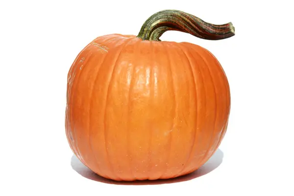 Abóbora Abóbora Acção Graças Abóbora Isolada Branco Abóbora Halloween Gourd — Fotografia de Stock