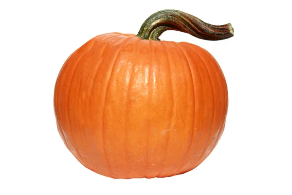 Dýně Dýně Díkůvzdání Dýně Izolované Bílém Halloween Pumpkin Tykev Izolovaná — Stock fotografie