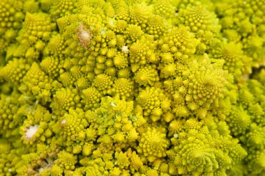 Çiftçi Pazarı Taze meyve ve sebzeler bir pazarda satılıyor. Bir çiftçide taze organik tarım ürünü. Çiftçi pazarında yerel olarak yetişen renkli meyve ve sebzelere yakın çekim. Romanesco brokoli, Roma karnabaharı. Yiyecek.. 