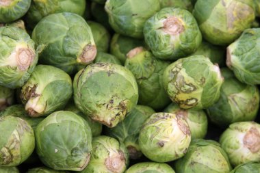 Brüksel lahanası. Çiftçi pazarında satılık taze meyve ve sebzeler. Çiftçi pazarında yerel olarak yetişen renkli meyve ve sebzelerin yakın çekimleri.