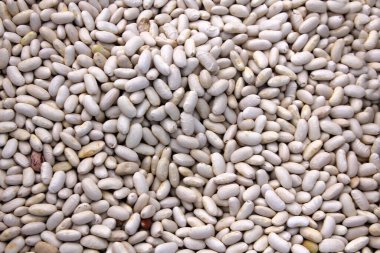 Fasulye. Çiftçi Pazarı Taze meyve ve sebzeler bir pazarda satılıyor. Çiftçi pazarında yerel olarak yetişen renkli meyve ve sebzelere yakın çekim.. 