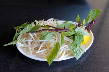 PHO. Vietnam Biftek Erişte Çorbası. Özel ev. Pirinç Erişte Çorbası, Göz Yuvarlak Biftek, Göğüs eti, Tendon, İşkembe ve Köfte. Öğlen veya Akşam Yemeği için Sıcak Çorba. Biftek Çorbası. Sığır eti ve sebzeler. Güzel yemek. Bir kase taze pişmiş yumurta çorbası..