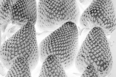 Taze toplanmış çilek. Olgun Çilekler, 