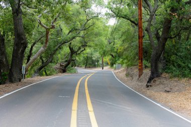 Ağaçlarla kaplı kırsal yol. Güney Kaliforniya 'da ağaçlık yol. Uzun ve dolambaçlı bir yol. Kaliforniya 'nın arka tepelerinde ağaçlarla kaplı güzel bir yol. Ormanda ağaç tüneli var. Doğa.