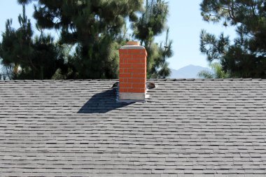 Ev Çatı İnşaat Alanı. Eski çatının kaldırılması ve yeni malzemelerin değiştirilmesi. Çatılar, her evin önemli bir parçasıdır. Onu doğa şartlarından ve meraklı komşulardan güvende ve kuru tutar. Eski asfalt kiremitlerini değiştirerek çatı onarımı. 