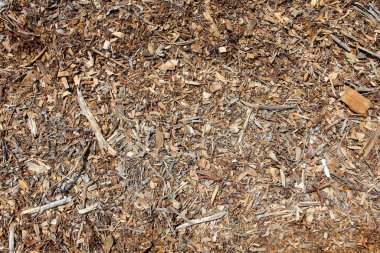 Geçmişi ve dokuları. Yaratıcı projeler için fon. Sarı-yeşil otların doğal arka planı. Yerde odun parçaları var. Dışarıda bir bahçede odun kırıntıları. Rastgele arkaplan kalıpları.