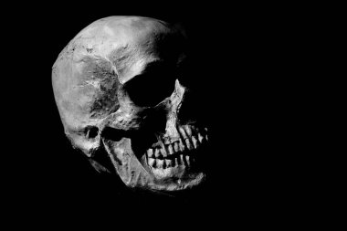 Şeytani İnsan Kafatası. Perili İnsan Kafatası. Cadılar Bayramı için Hayalet ve Goblinler. Ürkütücü bir insan kafatasına sahip siyah bir arkaplan. İzole edilmiş ve karanlığa karşı koyulmuş. Cadılar Bayramı teması, ölüm ve anatomi, insanı ürperten bir sihir gösterisi. Cadılar Bayramı Eğlencesi. 