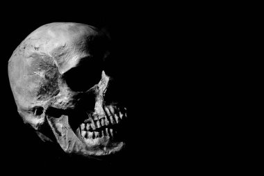 Şeytani İnsan Kafatası. Perili İnsan Kafatası. Cadılar Bayramı için Hayalet ve Goblinler. Ürkütücü bir insan kafatasına sahip siyah bir arkaplan. Karanlığa karşı izole edilmiş ve kurulmuş, Cadılar Bayramı, ölüm ve anatomi temalarını somutlaştıran, kemikleri ürperten bir sihir gösterisi. 