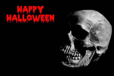 Mutlu Cadılar Bayramı. Cadılar Bayramı perili insan kafatası. Şeytani İnsan Kafatası. Cadılar Bayramı partisi için gizemli kafatası. Cadılar Bayramı Partisi Davetiyesi. Mesaj için yer var. Lanetli Davet. Ürkütücü Hayaletli İnsan Kafatası. Kötülük. Cadılar Bayramı insan kafatası. Mutlu Cadılar Bayramı. Ürkütücü.. 