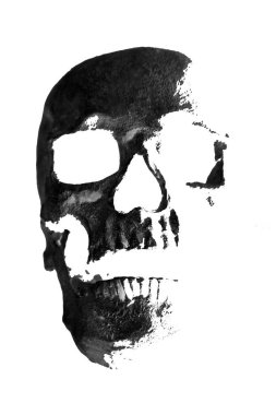 İnsan Kafatası. - Bilim. İnsan kafatası insan iskeletinde başı oluşturan kemik yapısıdır. Yüzün yapısını destekler ve beyin için bir boşluk oluşturur. Diğer omurgalıların kafatasları gibi, beyni yaralanmadan korur.. 