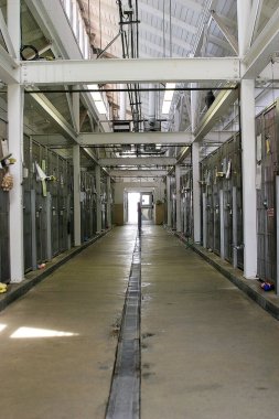 Hayvan barınağı. Hayvan barınağında kapana kısılmış, birinin onu evlat edinmesini bekleyen üzgün, küçük beyaz bir köpek. Barınak kafesinde ağlayan şirin bir köpek. Üzücü duygusal bir an. Beni evlat edinin. Kediler, Köpekler, Koyunlar, Keçiler ve diğer hayvanlar Hayvan Barınağı 'na giderler.. 