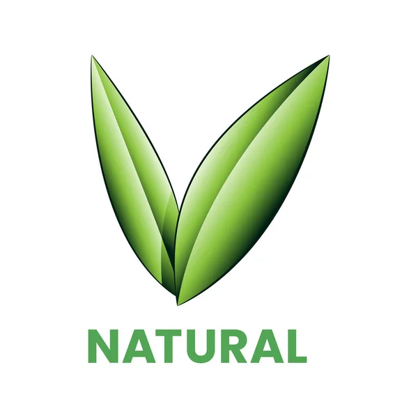 Ícone Natural Com Folhas Verdes Sombreadas Isoladas Fundo Branco — Vetor de Stock
