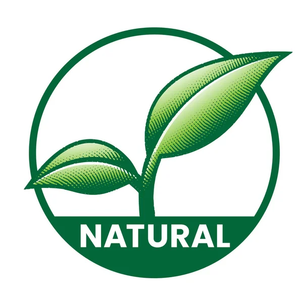 Natürliche Runde Ikone Mit Grünen Blättern Isoliert Auf Weißem Hintergrund — Stockvektor