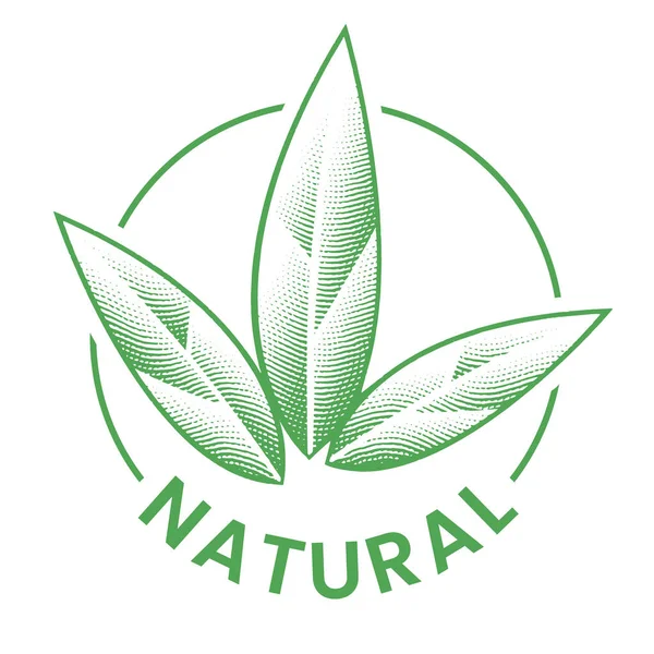 Ícone Redondo Gravado Natural Com Folhas Verdes Isoladas Fundo Branco — Vetor de Stock