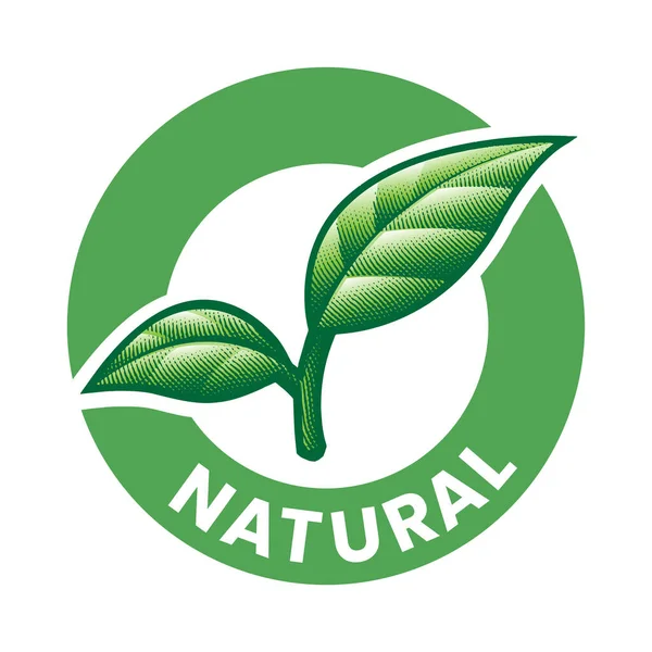 Icono Redondo Grabado Natural Con Hojas Verdes Aisladas Sobre Fondo — Vector de stock