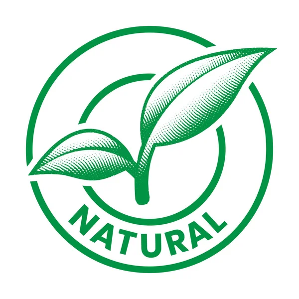 Ícone Gravado Redondo Natural Com Folhas Verdes Isoladas Fundo Branco —  Vetores de Stock