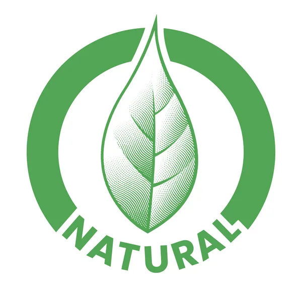 Přírodní Ryté Kulaté Ikony Zeleným Listem Izolované Bílém Pozadí — Stockový vektor