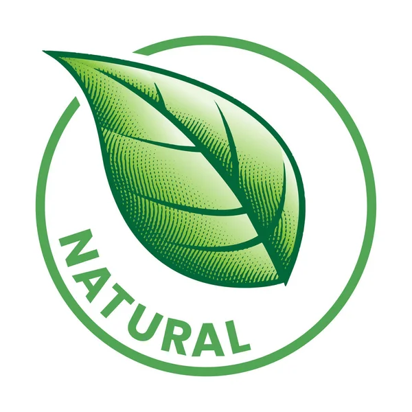 Naturalna Grawerowana Okrągła Ikona Zielonym Liściem Białym Tle — Wektor stockowy