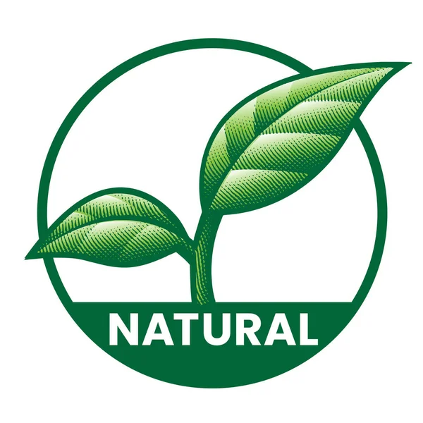 Přírodní Kulatá Ikona Zelenými Listy Izolované Bílém Pozadí — Stockový vektor