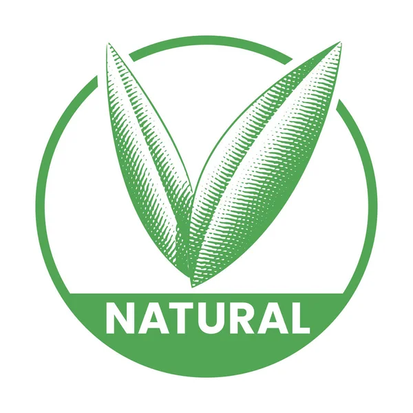 Natürliche Runde Ikone Mit Eingravierten Grünen Blättern Auf Weißem Hintergrund — Stockvektor