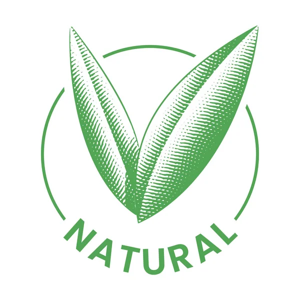 Icono Redondo Natural Con Hojas Verdes Grabadas Aisladas Sobre Fondo — Vector de stock