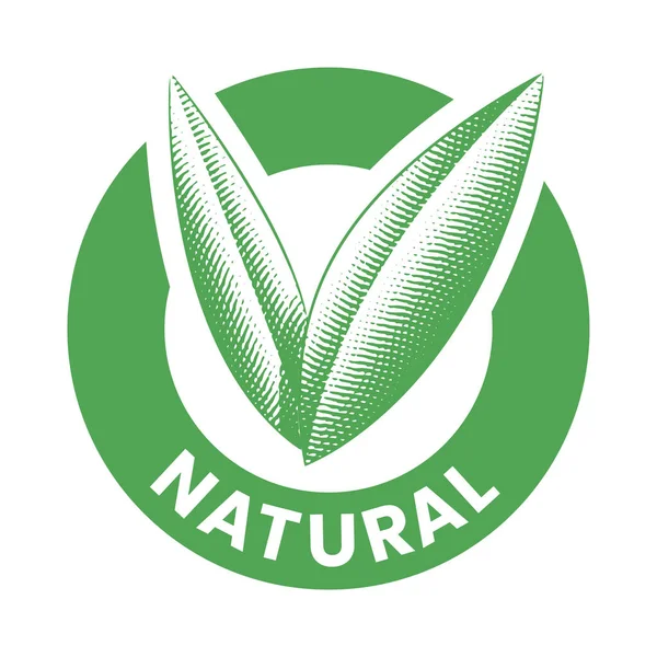 Ícone Redondo Natural Com Folhas Verdes Gravadas Isoladas Fundo Branco — Vetor de Stock