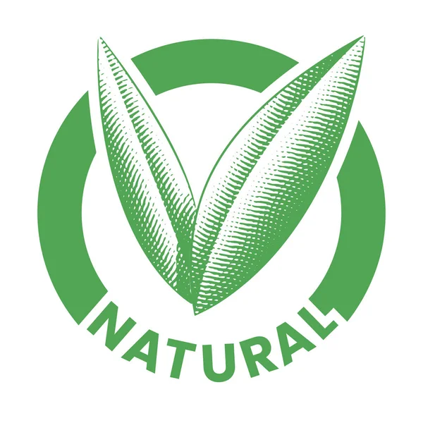 Přírodní Kulatá Ikona Vyrytými Zelenými Listy Izolované Bílém Pozadí — Stockový vektor