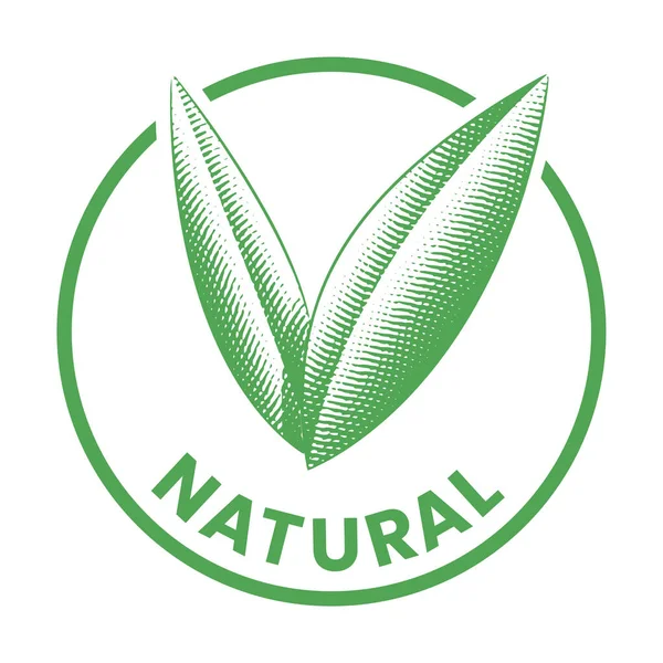 Přírodní Kulatá Ikona Vyrytými Zelenými Listy Izolované Bílém Pozadí — Stockový vektor