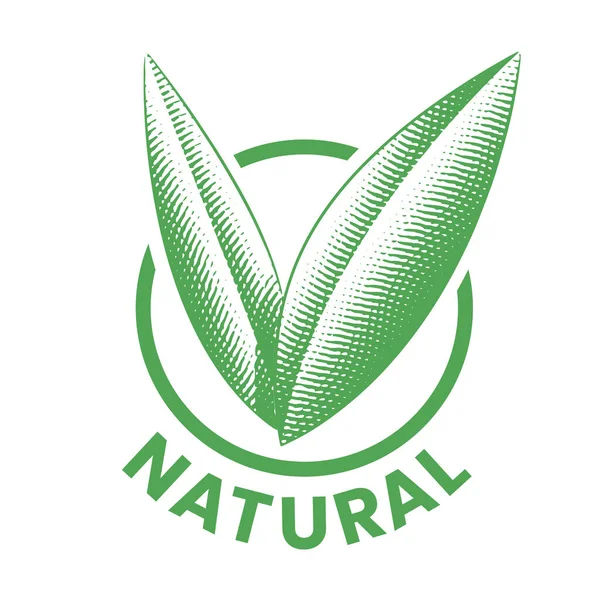 Natürliche Runde Ikone Mit Eingravierten Grünen Blättern Auf Weißem Hintergrund — Stockvektor
