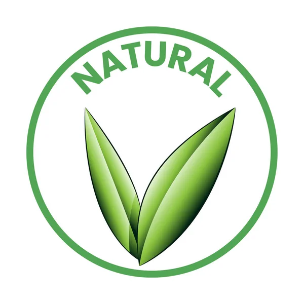 Ícone Redondo Natural Com Folhas Verdes Sombreadas Isoladas Fundo Branco —  Vetores de Stock