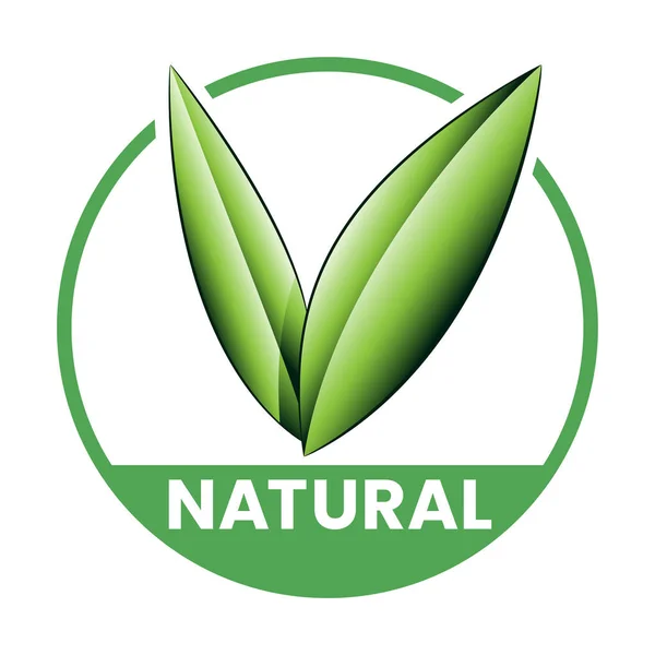 Icono Redondo Natural Con Hojas Verdes Sombreadas Aisladas Sobre Fondo — Vector de stock
