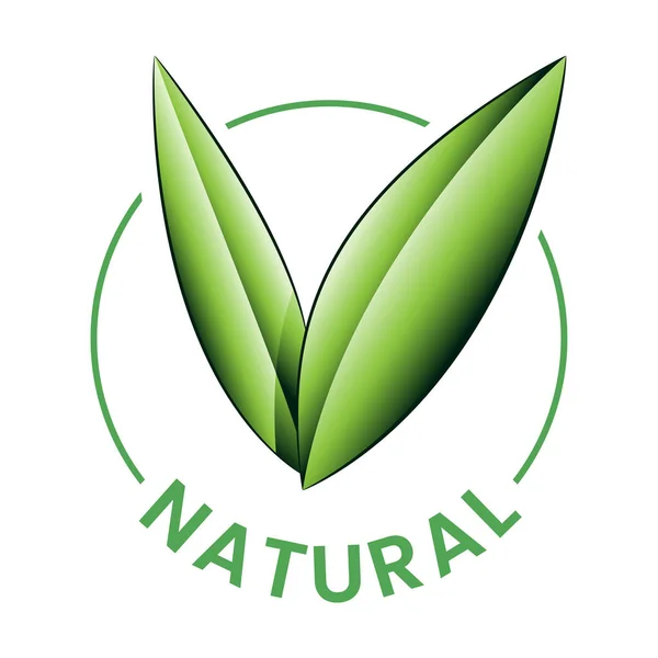 Natürliche Runde Ikone Mit Schattierten Grünen Blättern Auf Weißem Hintergrund — Stockvektor