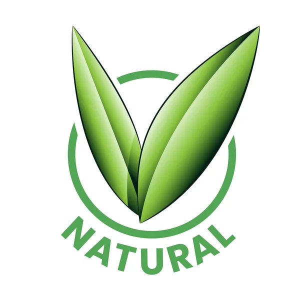 Natürliche Runde Ikone Mit Schattierten Grünen Blättern Auf Weißem Hintergrund — Stockvektor