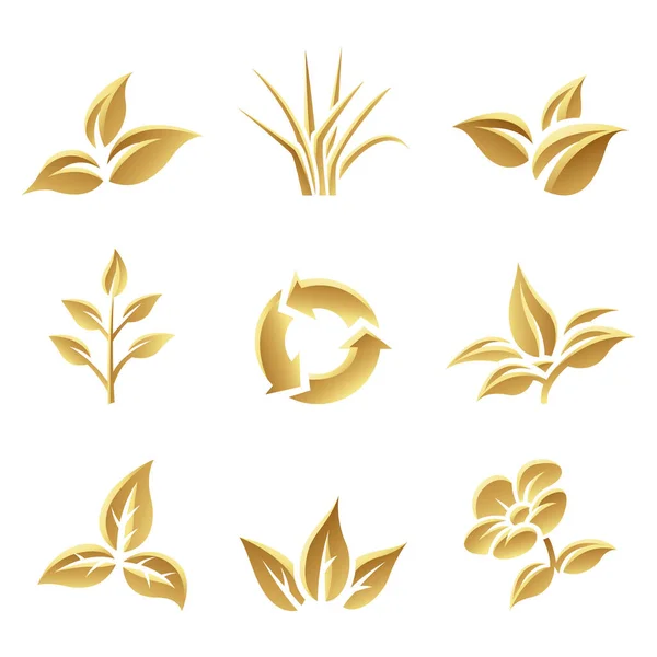 Folhas Brilhantes Douradas Fundo Branco — Vetor de Stock