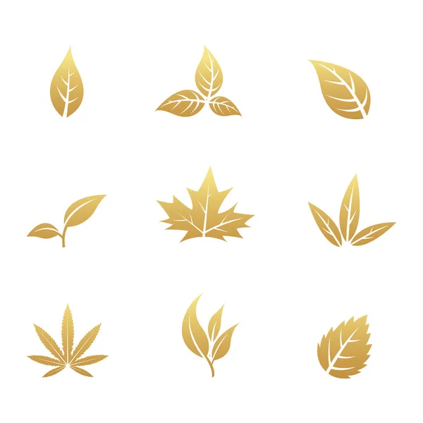 Golden Leaf Εικόνες Λευκό Φόντο — Διανυσματικό Αρχείο