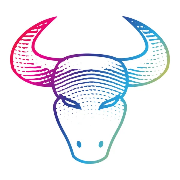 Illustratie Van Scratchboard Gegraveerd Bull Front View Rainbow Colors Geïsoleerd — Stockfoto