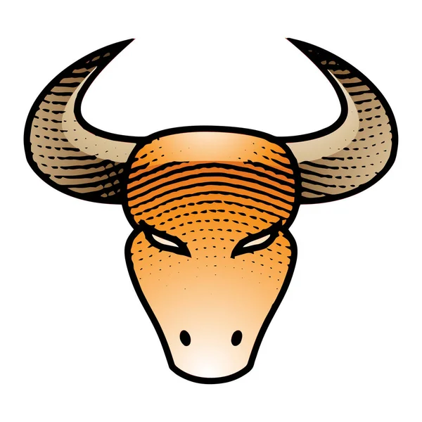 Ilustração Scratchboard Gravado Bull Vista Frontal Com Preenchimento Colorido Isolado — Fotografia de Stock
