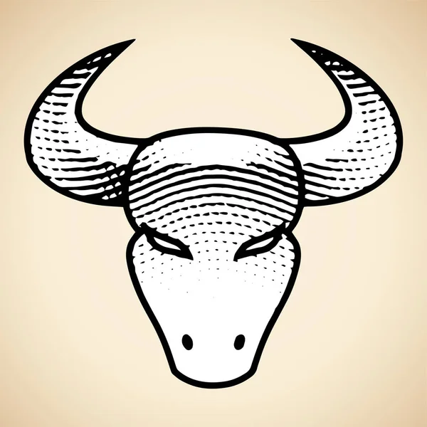 Illustratie Van Scratchboard Gegraveerd Bull Front View Met Witte Vulling — Stockfoto