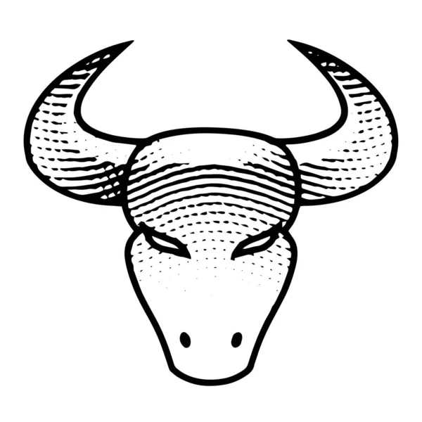 Ilustração Scratchboard Gravado Bull Front View Isolado Fundo Branco — Fotografia de Stock