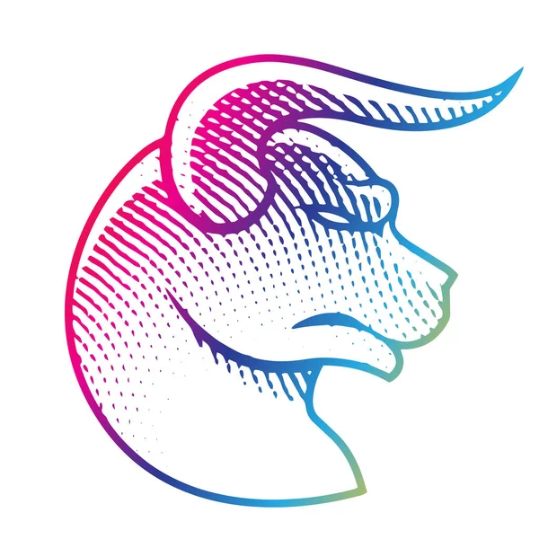 Ilustração Scratchboard Gravado Bull Profile View Cores Arco Íris Isolado — Fotografia de Stock