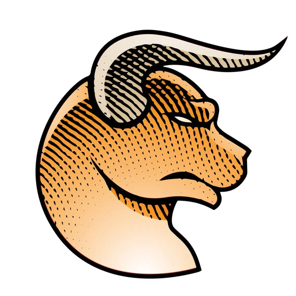 Ilustração Scratchboard Gravado Bull Profile View Com Preenchimento Colorido Isolado — Fotografia de Stock