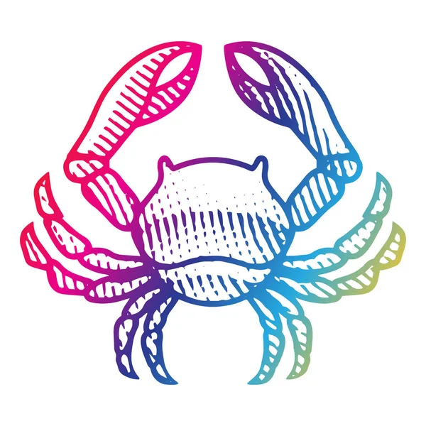 Illustration Scratchboard Engraved Crab Rainbow Colors Isolated White Background — Stock Photo, Image