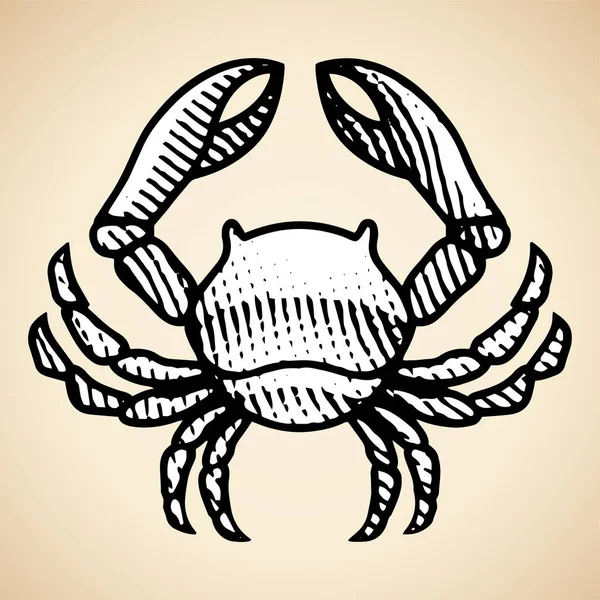 Illustration Scratchboard Engraved Crab White Fill Isolated Beige Background — Stock Photo, Image