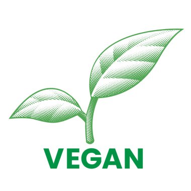 Vegan oymalı Yeşil Kalıplı Simge Beyaz Arkaplanda İzole Edildi